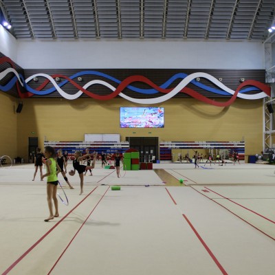 Центр гимнастики Ирины Винер