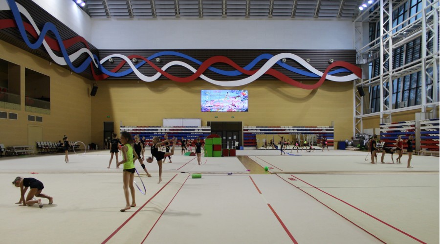 Центр гимнастики Ирины Винер