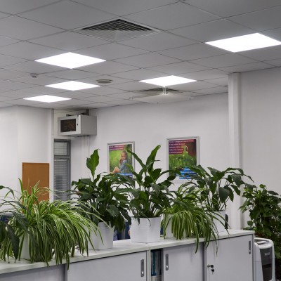 Офис компании «Випсервис»: замена устаревшего освещения
